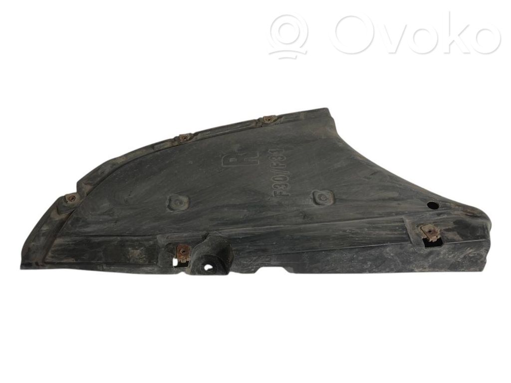 Rear bumper lower guard
