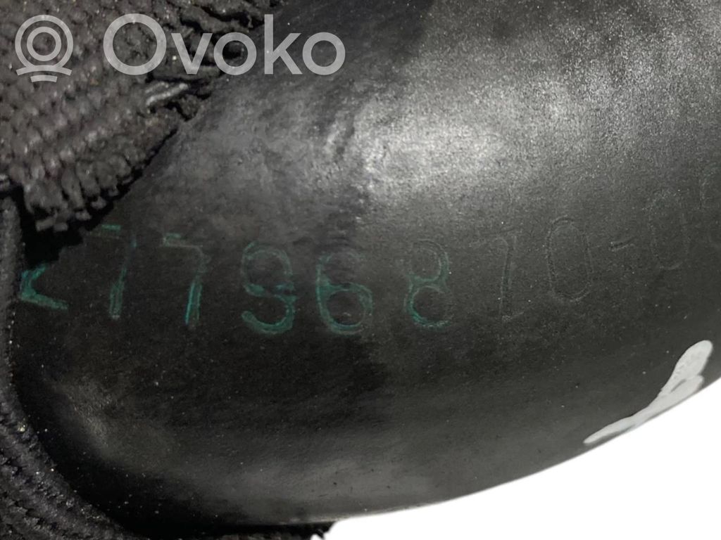 Caurulīte (-es) / šļūtene (-es)