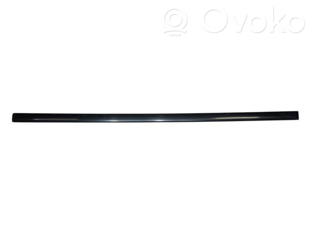 Front door decorative trim (molding)