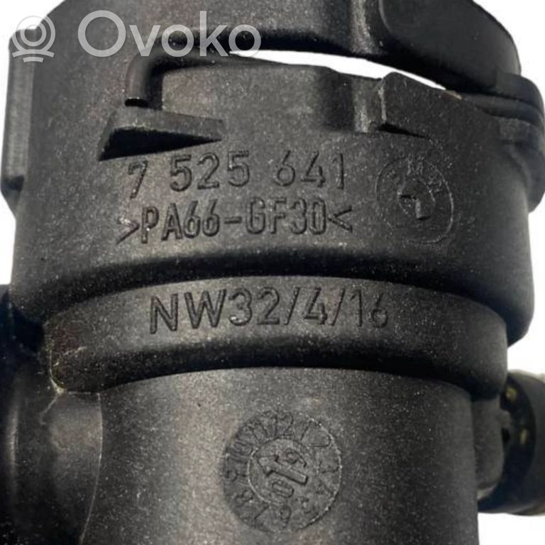 Caurulīte (-es) / šļūtene (-es)