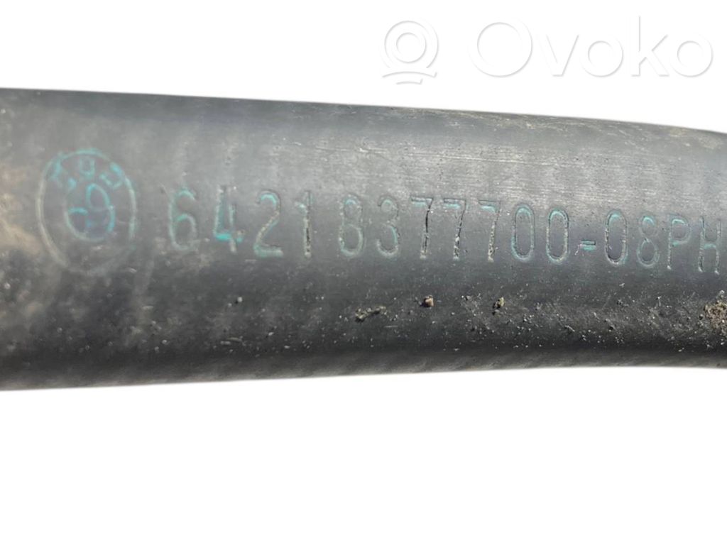 Caurulīte (-es) / šļūtene (-es)