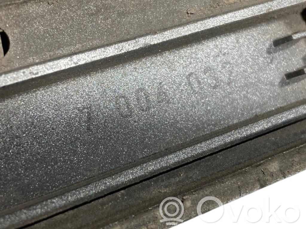 Rear door decorative trim (moulding)