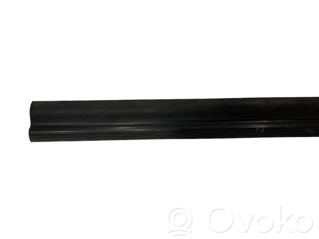 Front sill trim (inner)