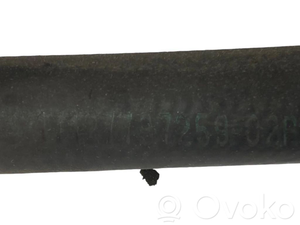 Caurulīte (-es) / šļūtene (-es)