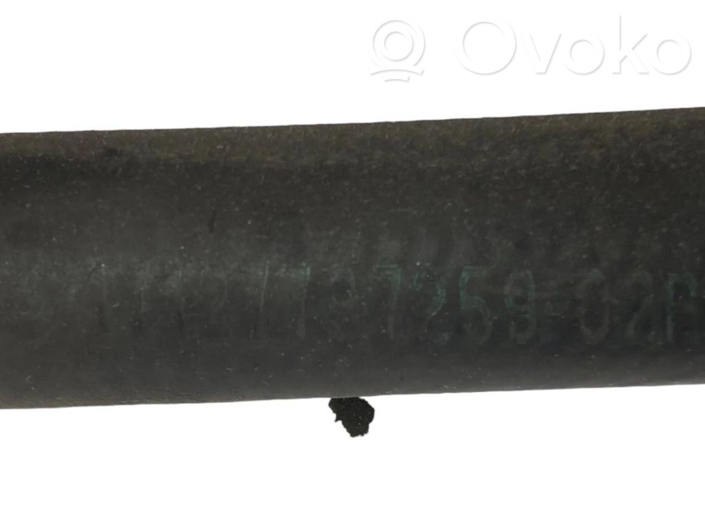 Caurulīte (-es) / šļūtene (-es)