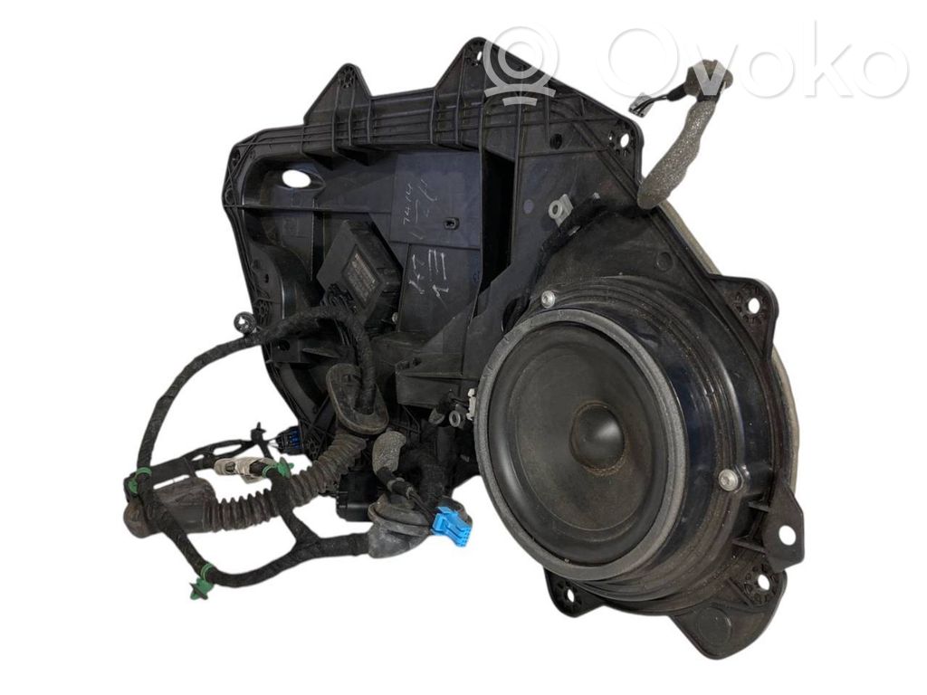 Speaker(s) in the rear door