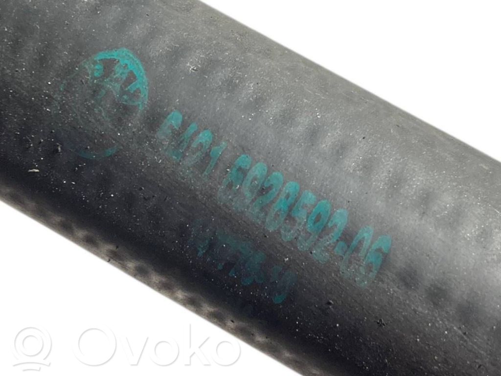 Caurulīte (-es) / šļūtene (-es)