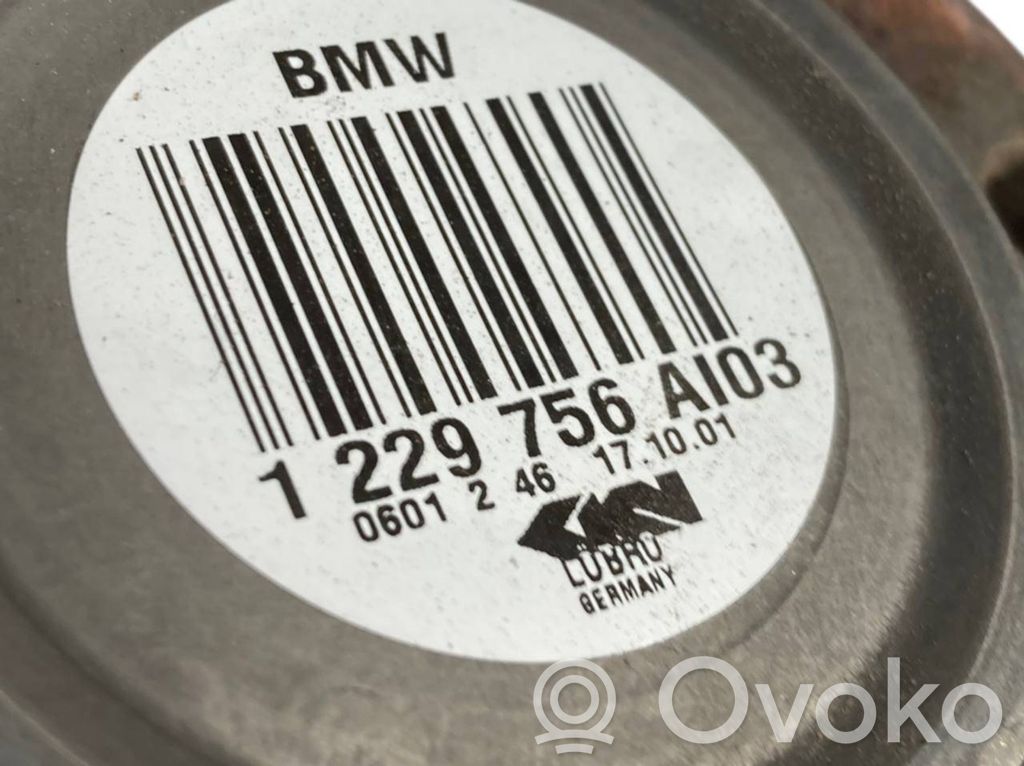 Aizmugurējā pusass