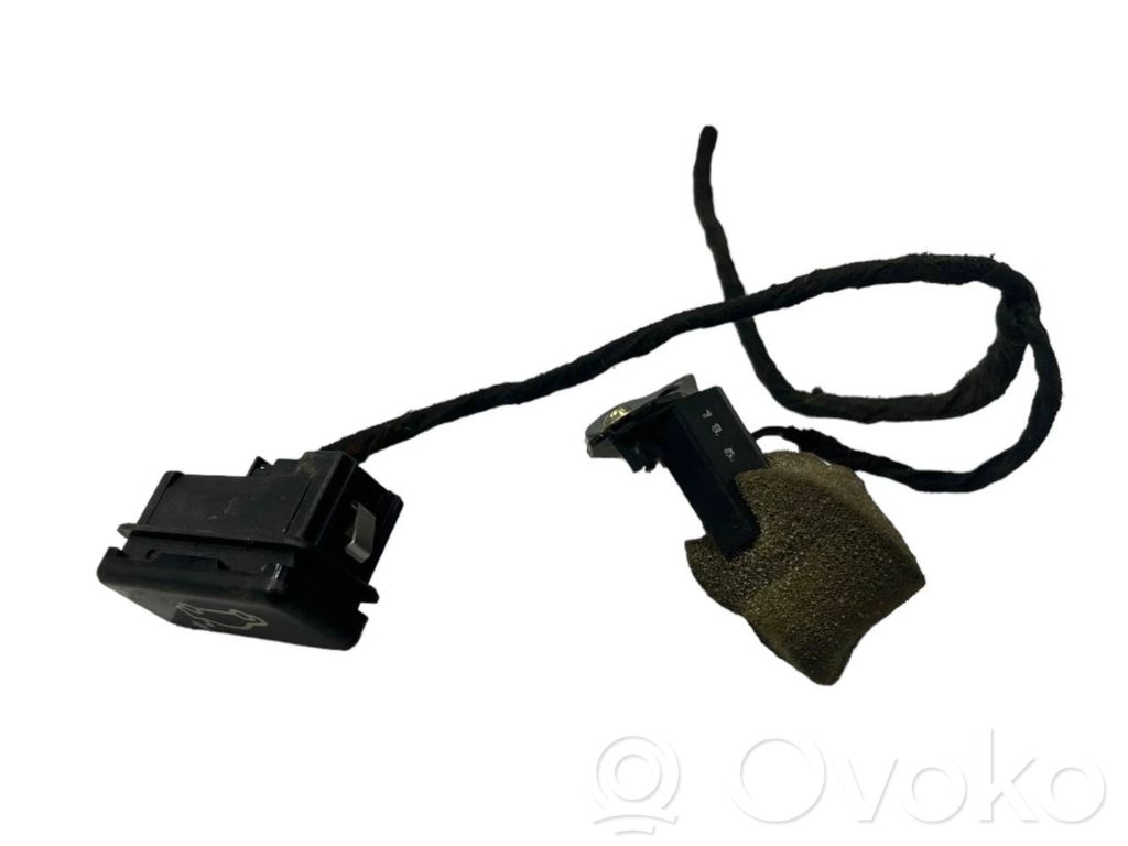 Bagāžnieka dekoratīvā apdare