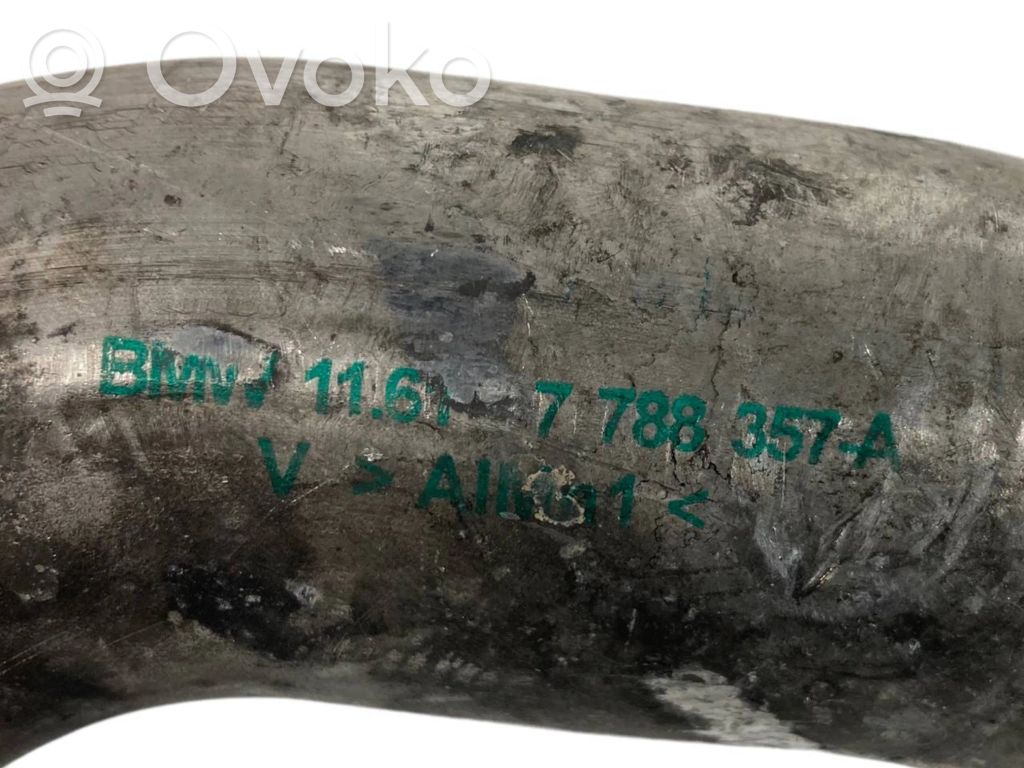 Interkūlera šļūtene (-es) / caurule (-es)