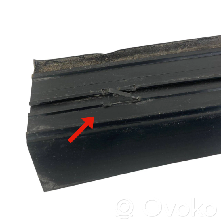 Rear door sill trim (external)