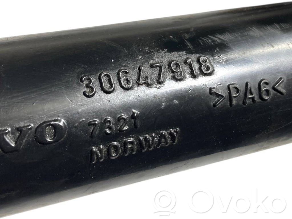 Interkūlera šļūtene (-es) / caurule (-es)