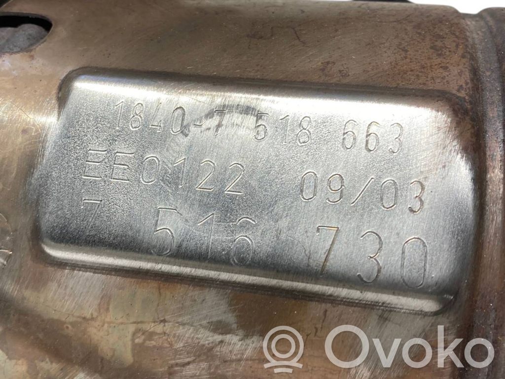 Catalyst, FAP/DPF particulate filter