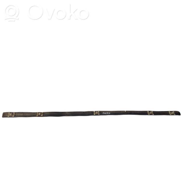 Priekšpusē durvju dekoratīvā apdare (moldings)