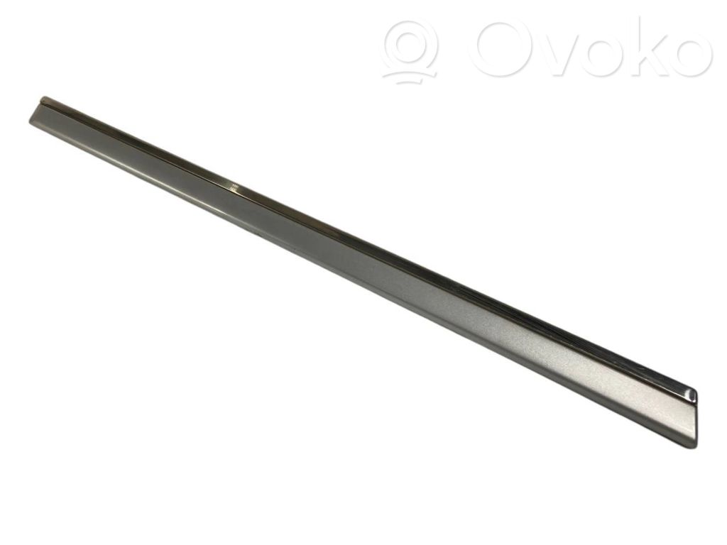 Rear door decorative trim (moulding)