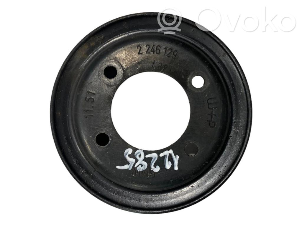 Water pump pulley
