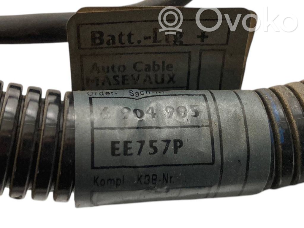 Plusa vads (akumulatora)