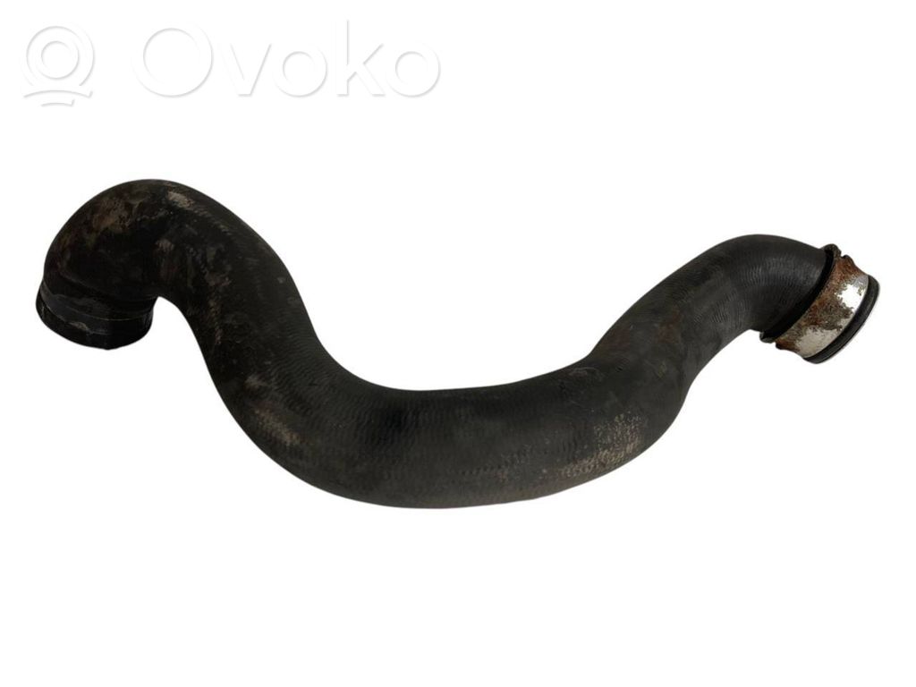 Caurulīte (-es) / šļūtene (-es)