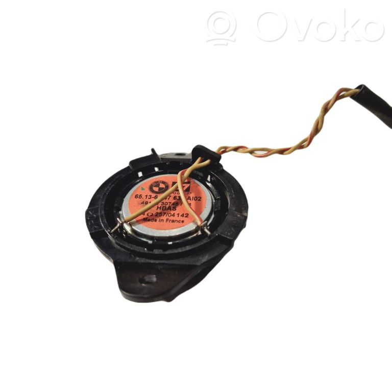 Speaker(s) in the rear door