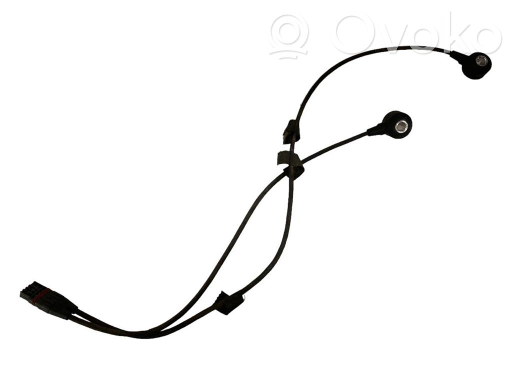 Detonācijas sensors