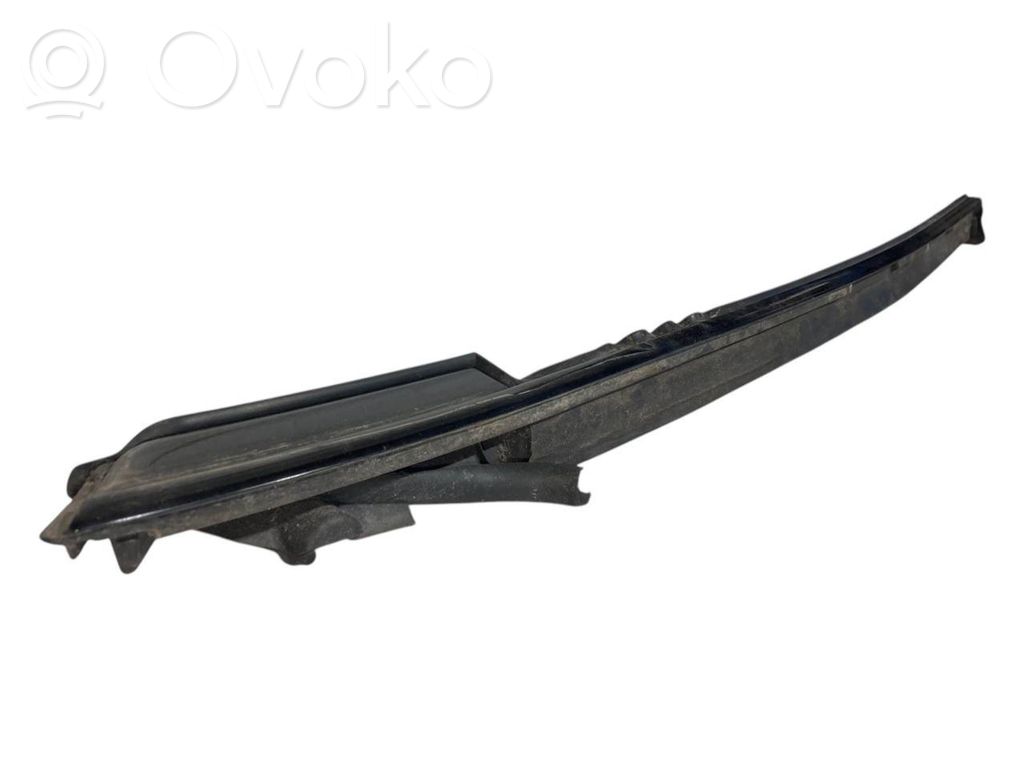 Rear door glass trim