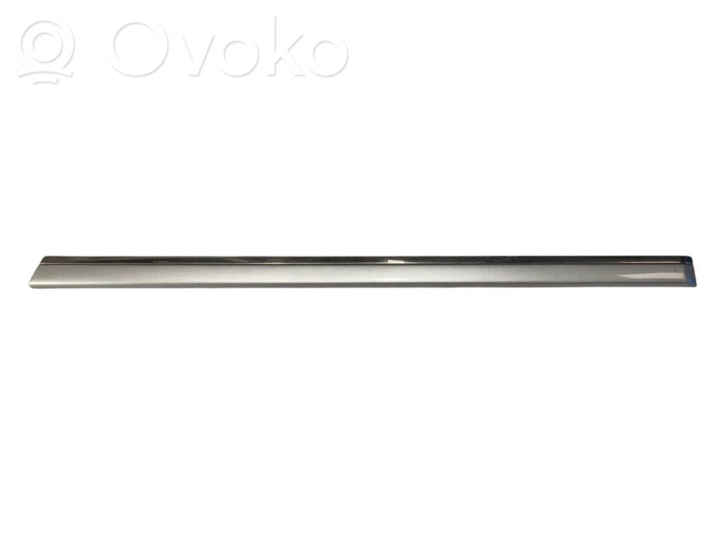 Rear door decorative trim (moulding)