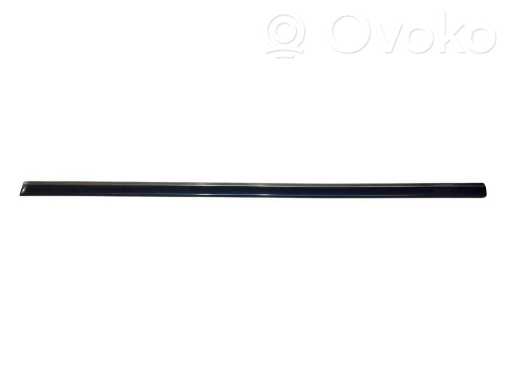 Priekšpusē durvju dekoratīvā apdare (moldings)