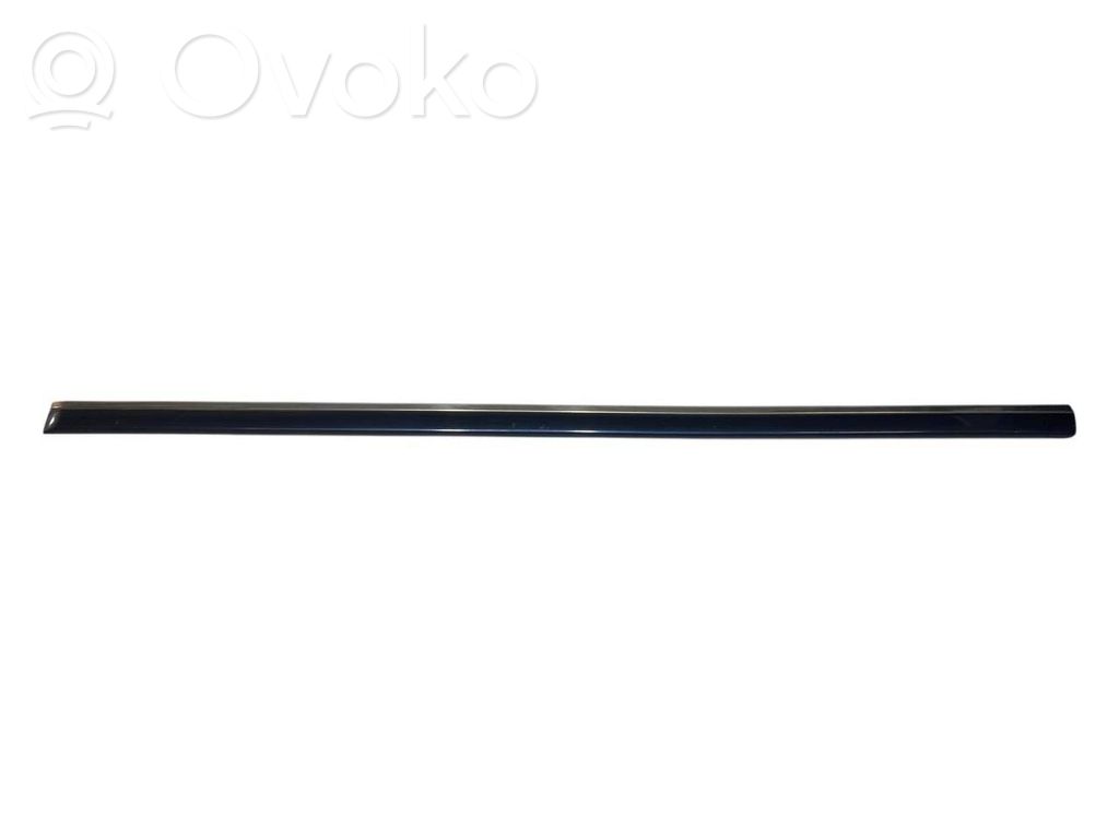 Priekšpusē durvju dekoratīvā apdare (moldings)