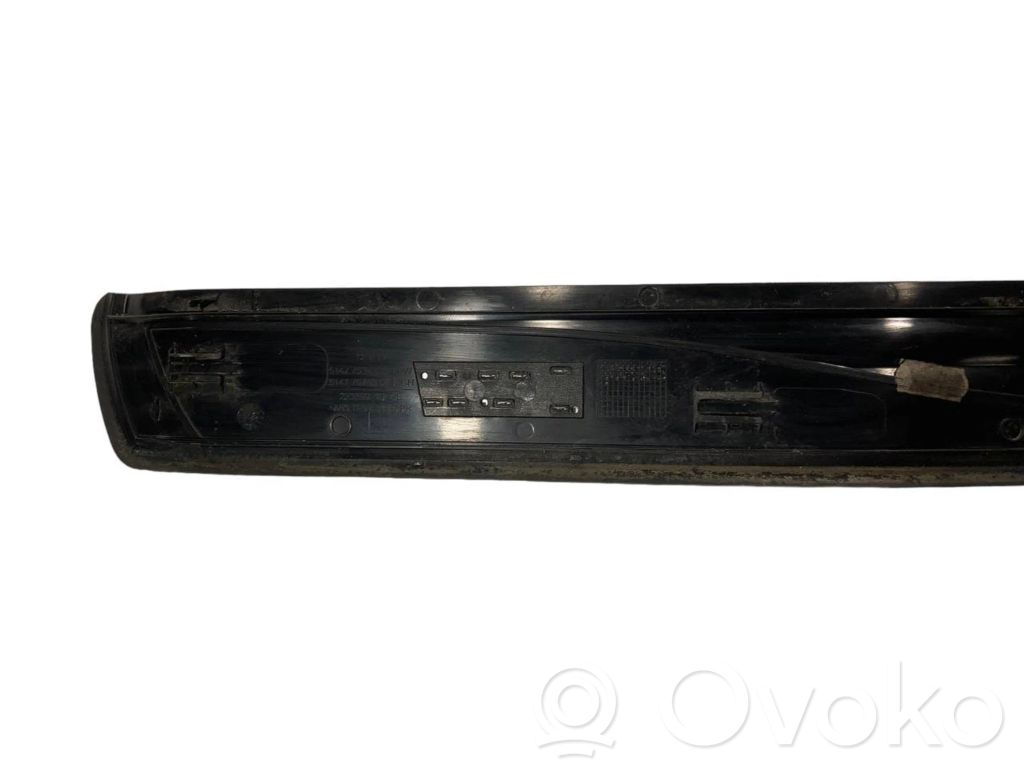 Rear door sill trim (inner)