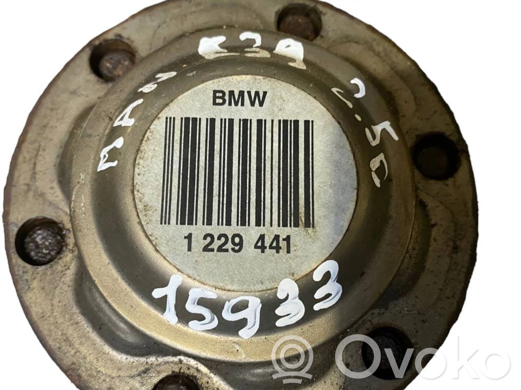 Aizmugurējā pusass