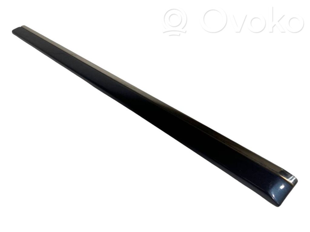 Aizmugurē durvju dekoratīvā apdare (moldings)
