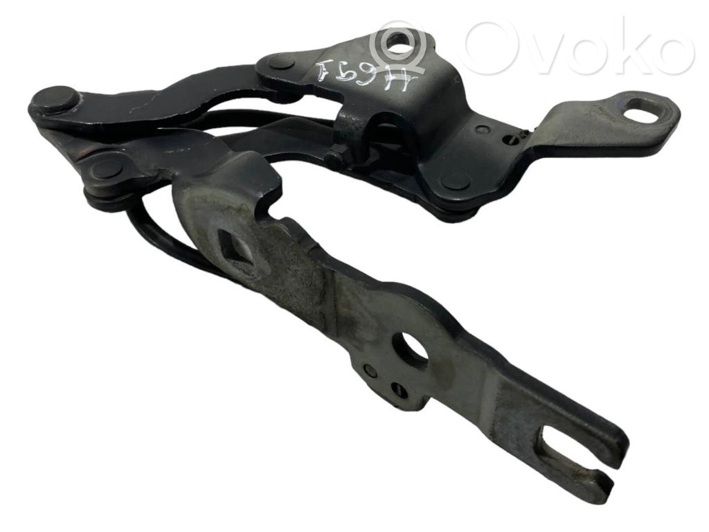 Dzinēja pārsega eņģe (-es)