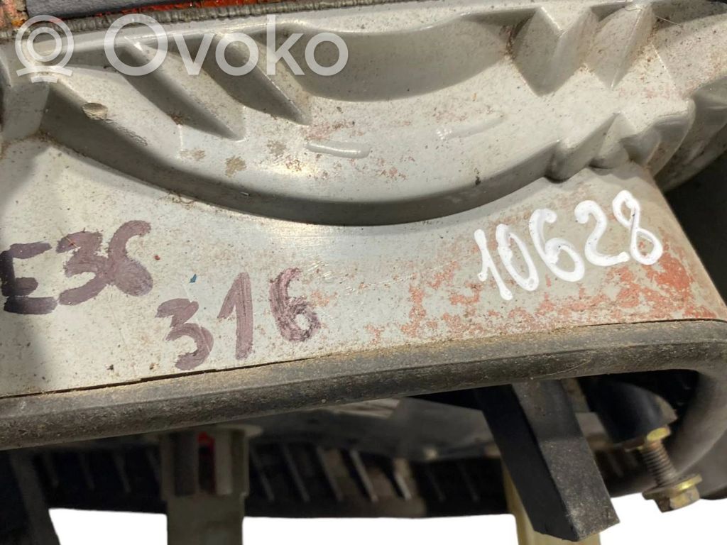 Taillight in the body