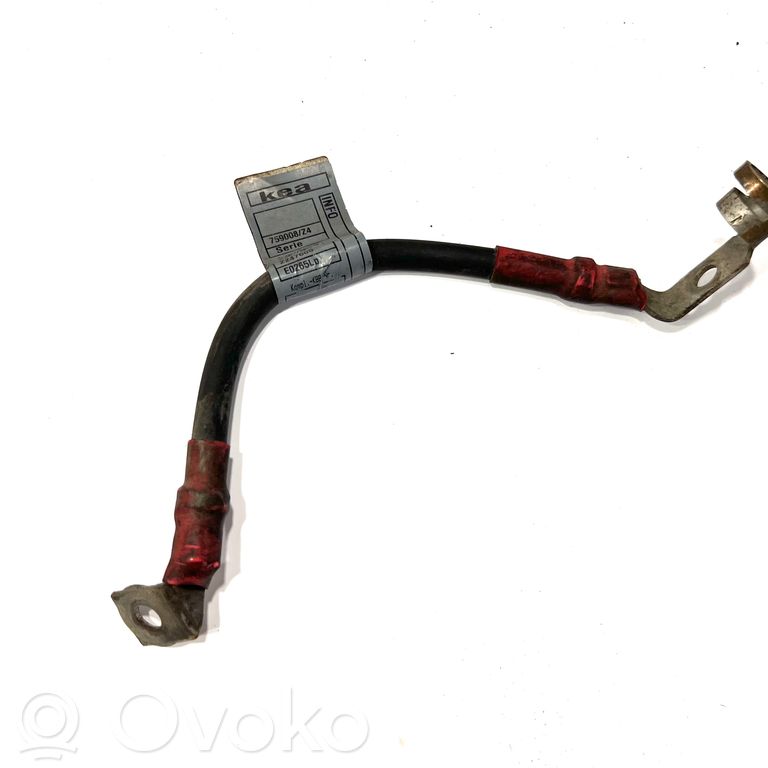 Wires (starter)