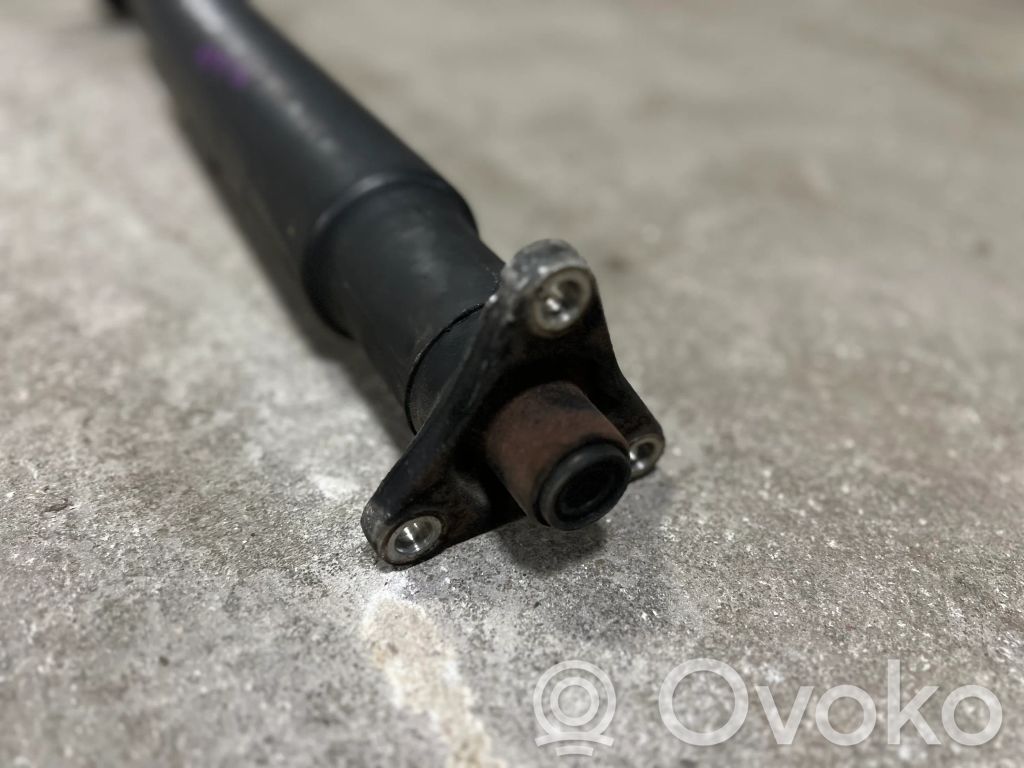 Rear cardan shaft