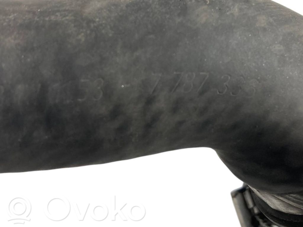 Caurulīte (-es) / šļūtene (-es)