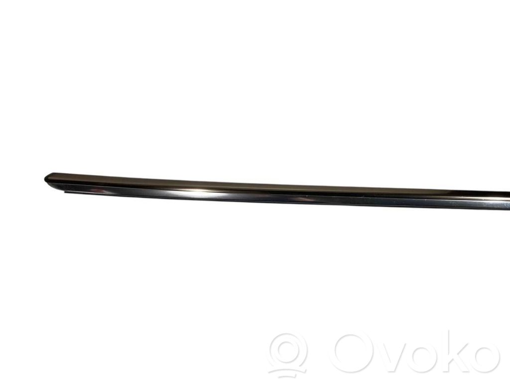 Aizmugurē durvju dekoratīvā apdare (moldings)