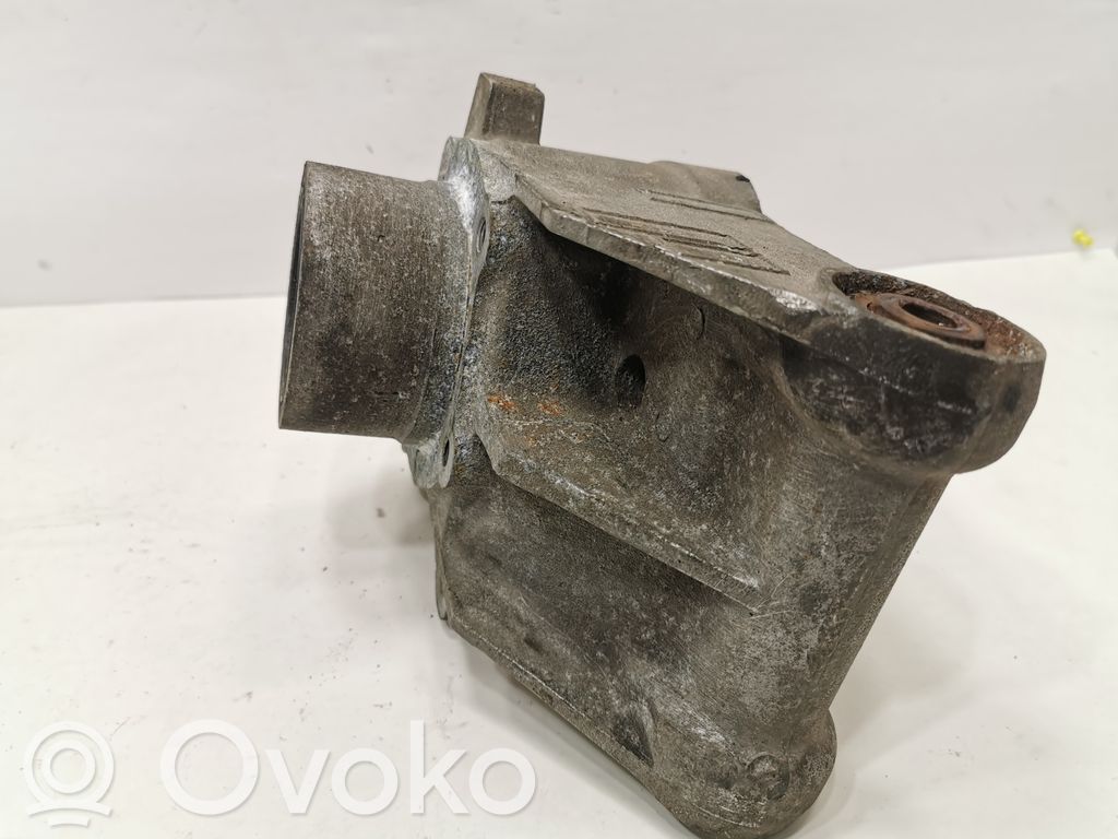 Rear wheel hub shaft joint (stupica, capfa)
