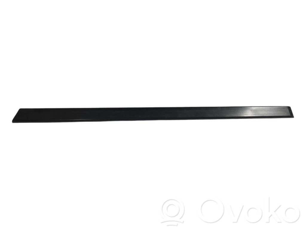 Aizmugurē durvju dekoratīvā apdare (moldings)