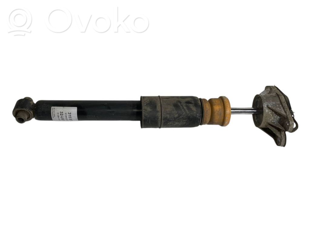 Rear shock absorber