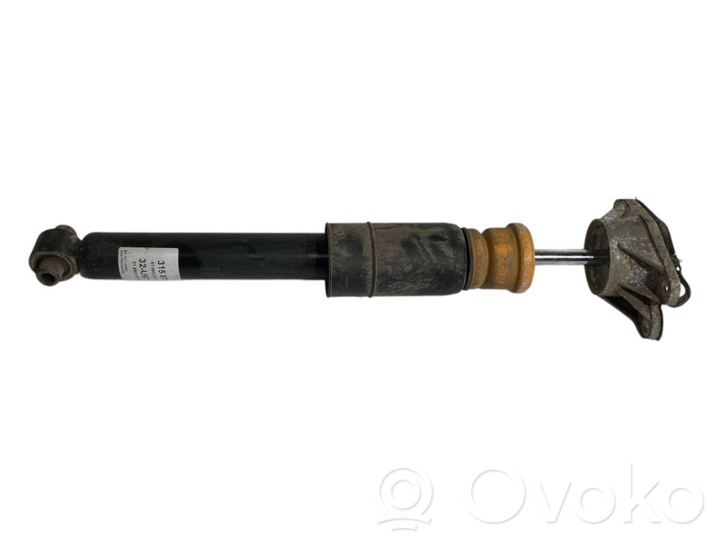 Rear shock absorber