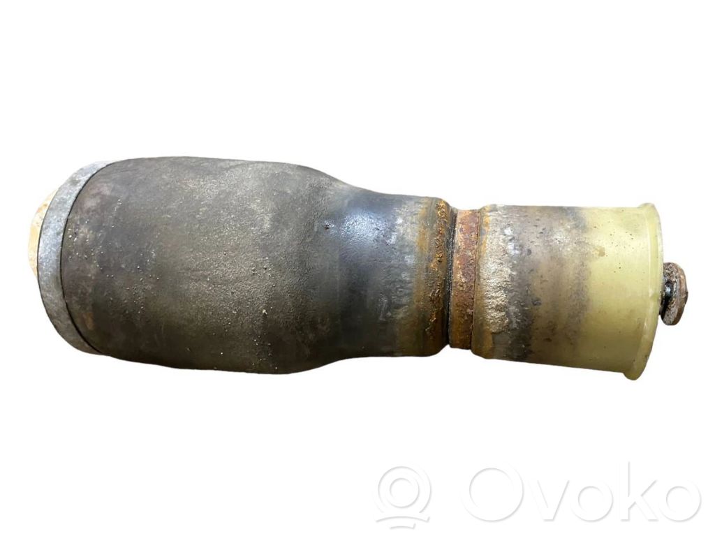Rear airbag