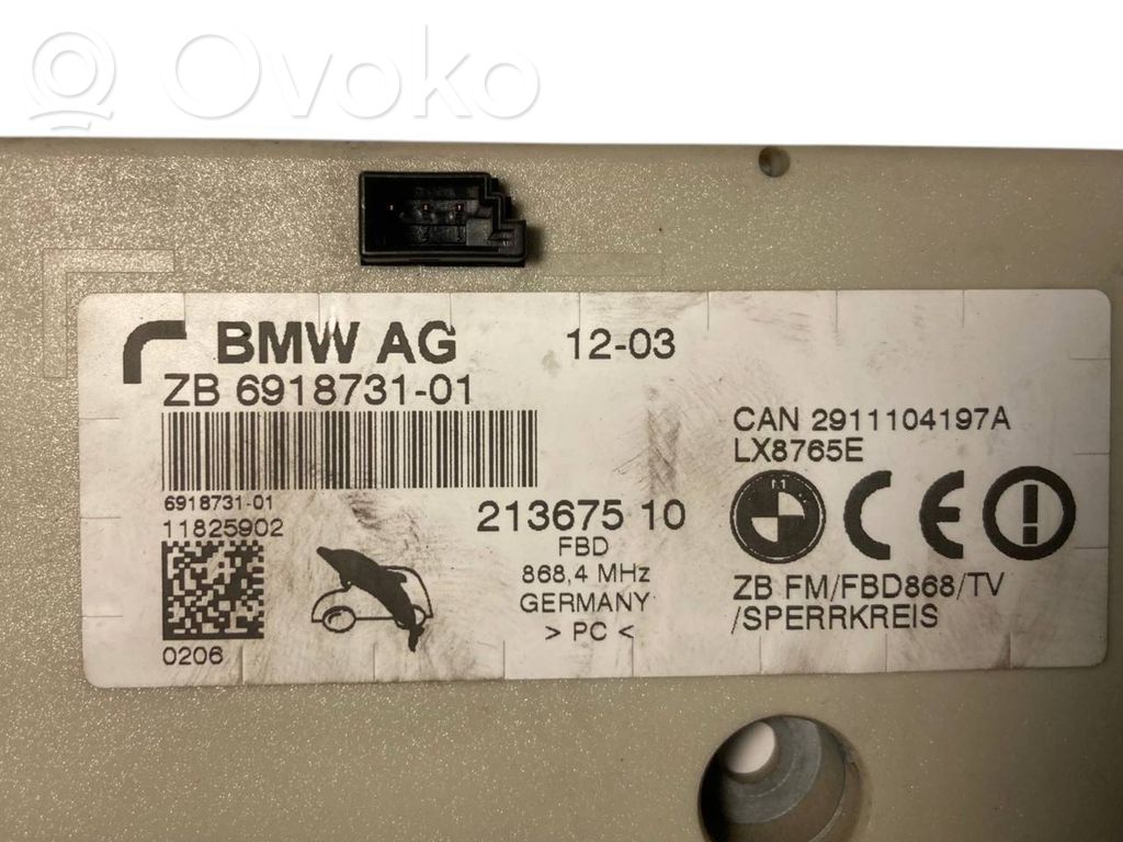 Antenna amplifier