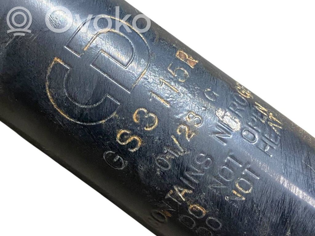 Aizmugurē amortizators