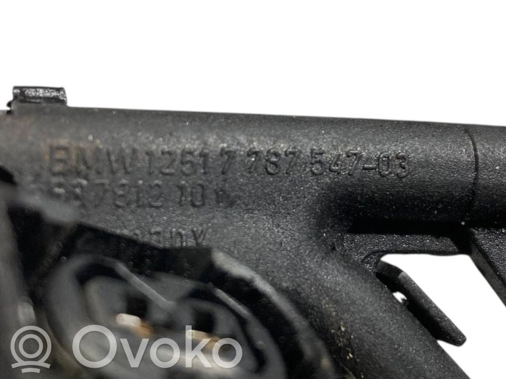 Engine wiring harness