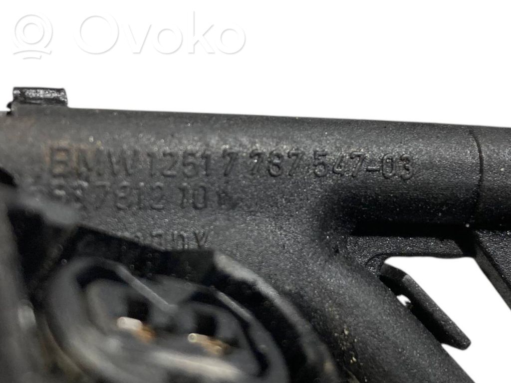 Engine wiring harness