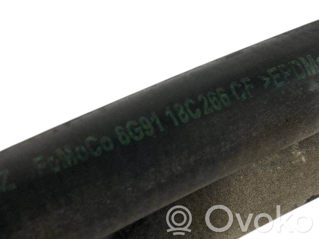 Caurulīte (-es) / šļūtene (-es)