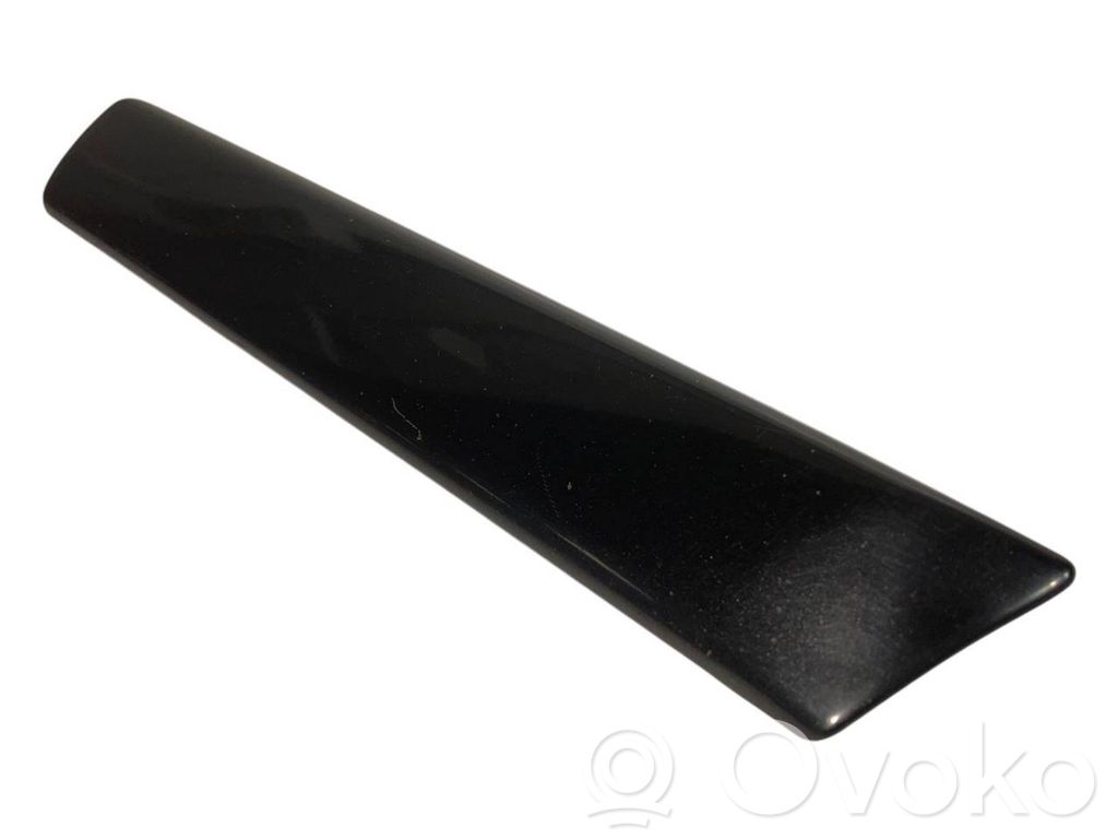 Fender decorative trim (molding)