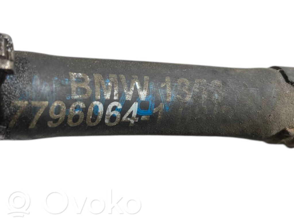 Degvielas caurulīte (-es)