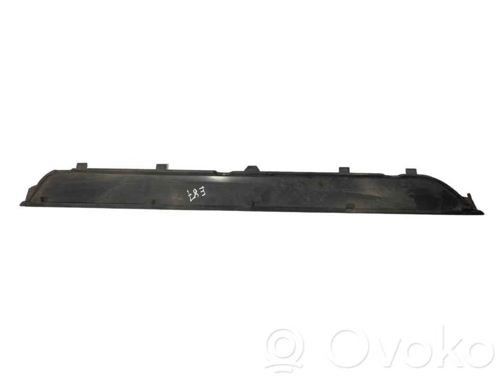 Front sill trim (inner)
